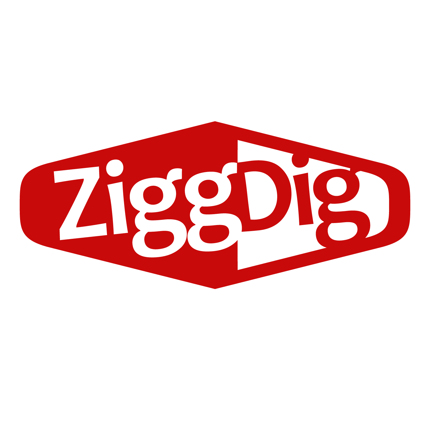ZiggDig